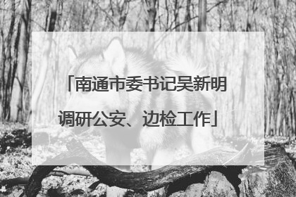南通市委书记吴新明调研公安、边检工作