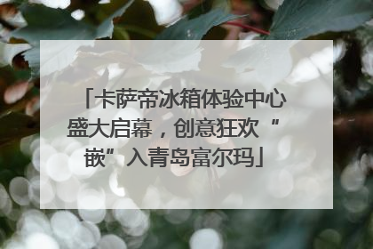 卡萨帝冰箱体验中心盛大启幕，创意狂欢“嵌”入青岛富尔玛