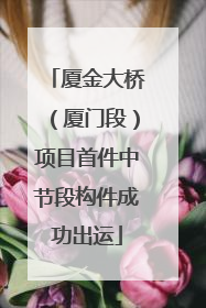 厦金大桥（厦门段）项目首件中节段构件成功出运