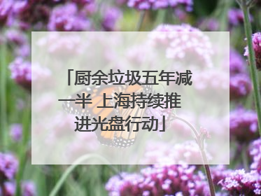 厨余垃圾五年减一半 上海持续推进光盘行动