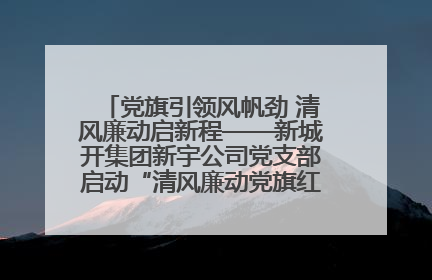 党旗引领风帆劲 清风廉动启新程——新城开集团新宇公司党支部启动“清风廉动党旗红”系列活动