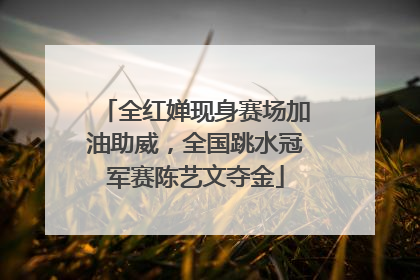 全红婵现身赛场加油助威，全国跳水冠军赛陈艺文夺金