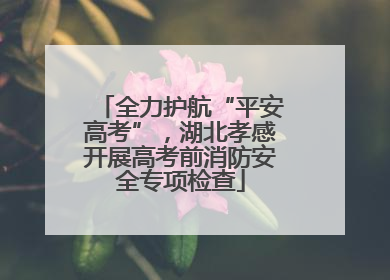 全力护航“平安高考”，湖北孝感开展高考前消防安全专项检查