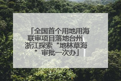 全国首个用地用海联审项目落地台州 浙江探索“地林草海”审批一次办