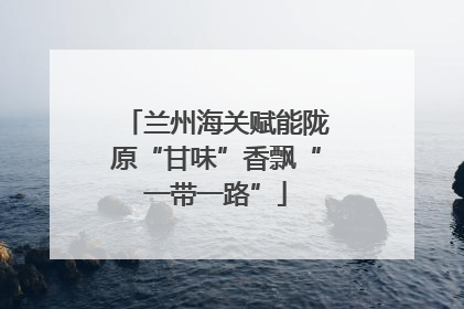 兰州海关赋能陇原“甘味”香飘“一带一路”