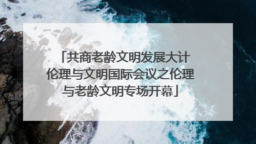共商老龄文明发展大计 伦理与文明国际会议之伦理与老龄文明专场开幕