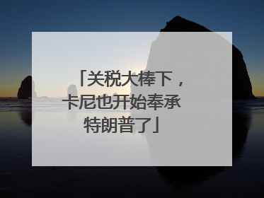 关税大棒下，卡尼也开始奉承特朗普了