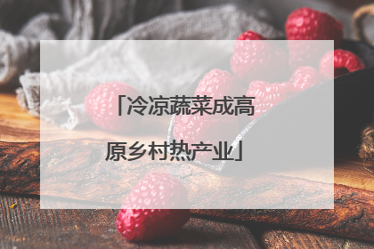 冷凉蔬菜成高原乡村热产业