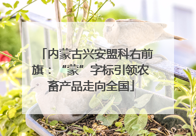 内蒙古兴安盟科右前旗：“蒙”字标引领农畜产品走向全国