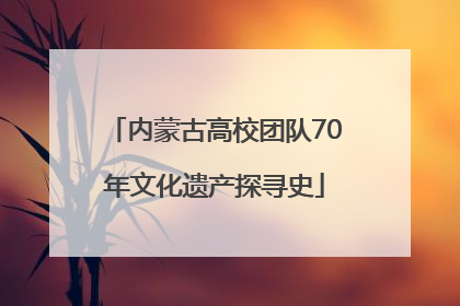 内蒙古高校团队70年文化遗产探寻史