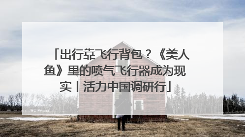 出行靠飞行背包？《美人鱼》里的喷气飞行器成为现实丨活力中国调研行