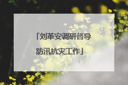 刘革安调研督导防汛抗灾工作