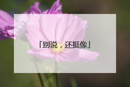 别说，还挺像
