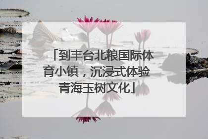 到丰台北粮国际体育小镇，沉浸式体验青海玉树文化
