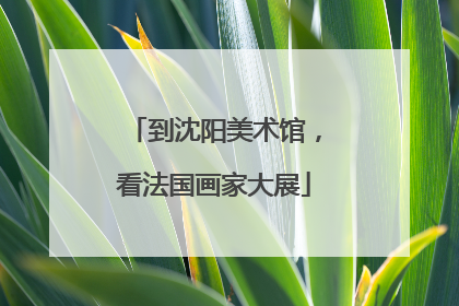 到沈阳美术馆，看法国画家大展