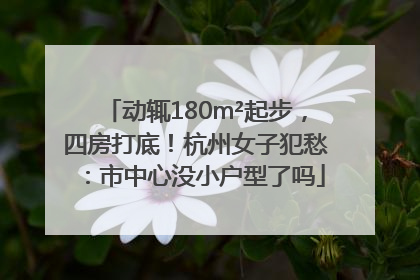 动辄180m²起步，四房打底！杭州女子犯愁：市中心没小户型了吗