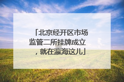 北京经开区市场监管二所挂牌成立，就在瀛海这儿