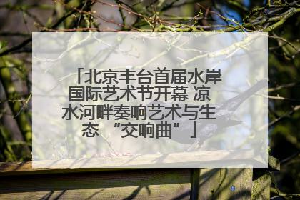 北京丰台首届水岸国际艺术节开幕 凉水河畔奏响艺术与生态 “交响曲”