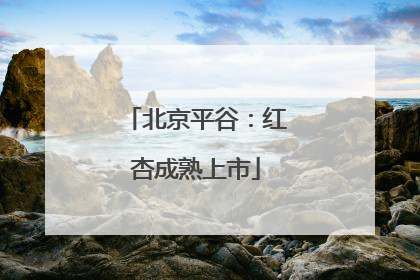 北京平谷：红杏成熟上市