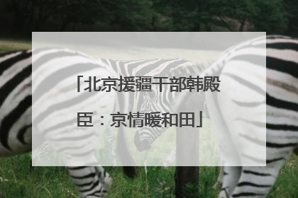 北京援疆干部韩殿臣：京情暖和田