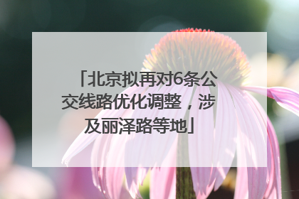 北京拟再对6条公交线路优化调整，涉及丽泽路等地