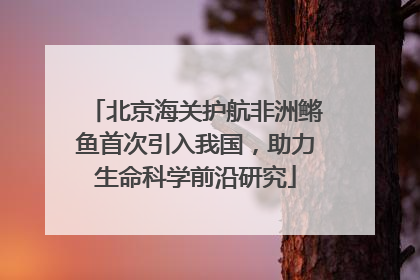 北京海关护航非洲鳉鱼首次引入我国，助力生命科学前沿研究