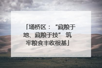 埇桥区：“藏粮于地、藏粮于技” 筑牢粮食丰收根基