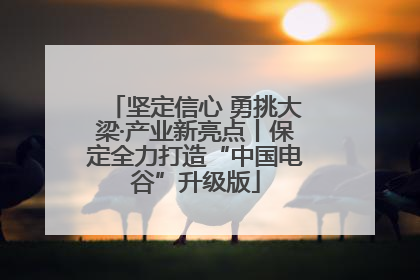 坚定信心 勇挑大梁·产业新亮点丨保定全力打造“中国电谷”升级版