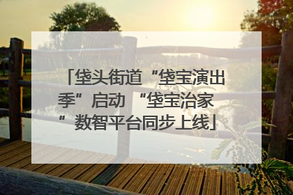 垡头街道“垡宝演出季”启动 “垡宝治家”数智平台同步上线