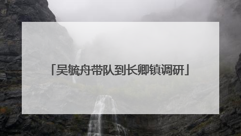 吴毓舟带队到长卿镇调研