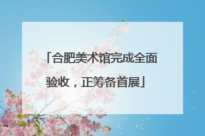 合肥美术馆完成全面验收，正筹备首展