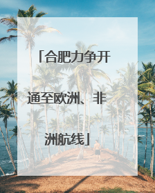 合肥力争开通至欧洲、非洲航线