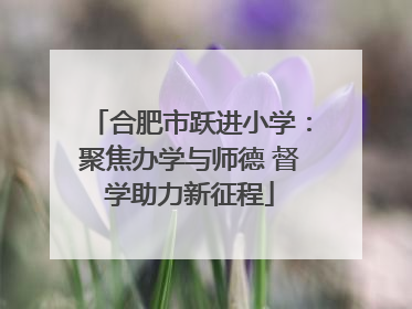 合肥市跃进小学：聚焦办学与师德 督学助力新征程