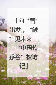 向“智”出发，“触”见未来——“中国传感谷”探访记