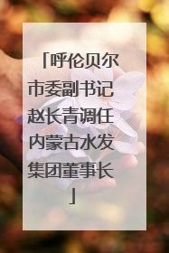 呼伦贝尔市委副书记赵长青调任内蒙古水发集团董事长