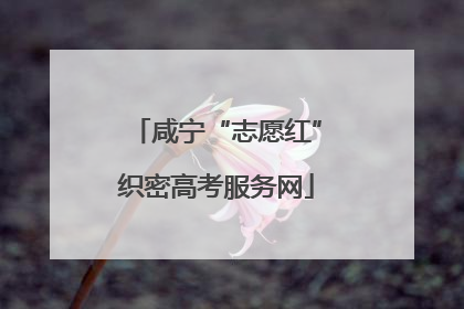 咸宁“志愿红”织密高考服务网