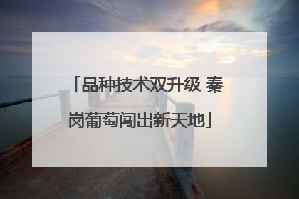 品种技术双升级 秦岗葡萄闯出新天地