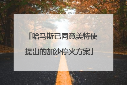 哈马斯已同意美特使提出的加沙停火方案