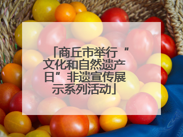 商丘市举行“文化和自然遗产日”非遗宣传展示系列活动