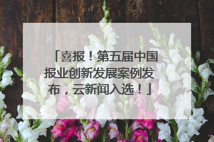 喜报！第五届中国报业创新发展案例发布，云新闻入选！