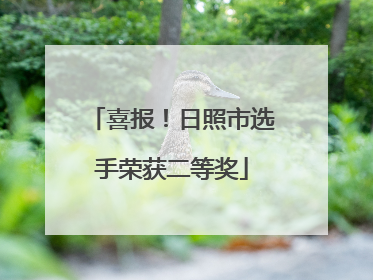 喜报！日照市选手荣获二等奖
