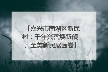 嘉兴市南湖区新民村：千年兴善焕新颜、至美新民展画卷