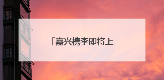 嘉兴槜李即将上市，净相村开共富工坊做槜李文创