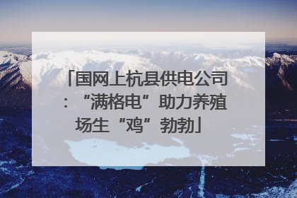 国网上杭县供电公司：“满格电”助力养殖场生“鸡”勃勃