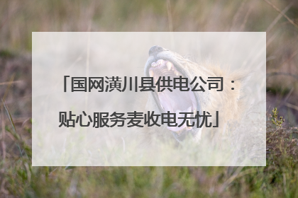 国网潢川县供电公司：贴心服务麦收电无忧