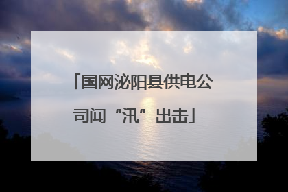 国网泌阳县供电公司闻“汛”出击