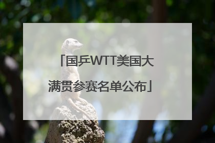 国乒WTT美国大满贯参赛名单公布