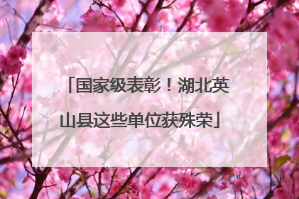 国家级表彰！湖北英山县这些单位获殊荣