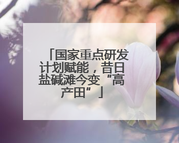 国家重点研发计划赋能，昔日盐碱滩今变“高产田”