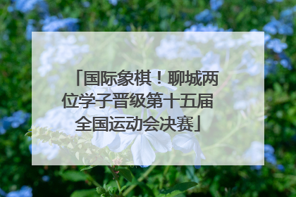 国际象棋！聊城两位学子晋级第十五届全国运动会决赛
